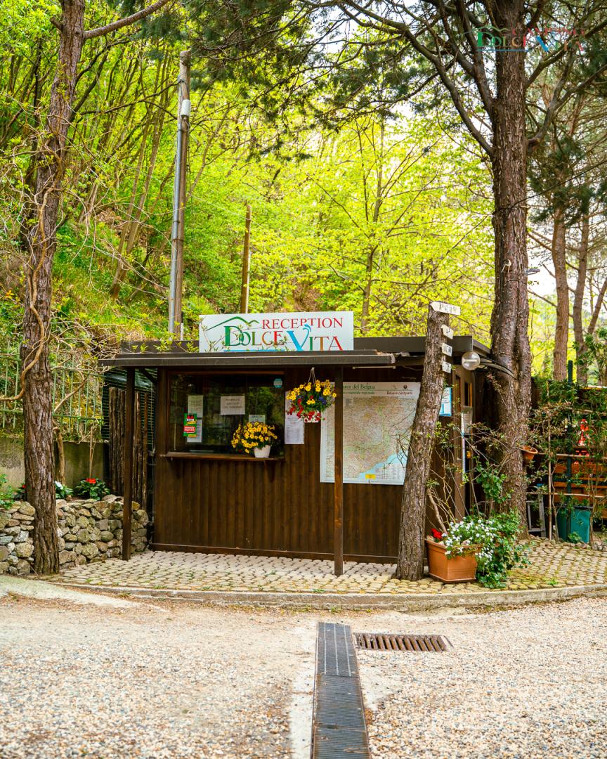 Foto di Camping Dolce Vita