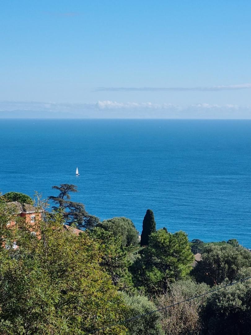 Foto di Agriturismo Verde Gioia
